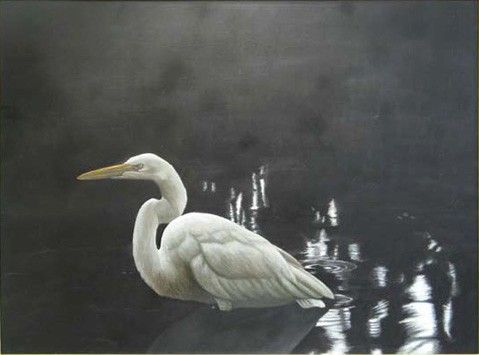 John James Audubon Egret